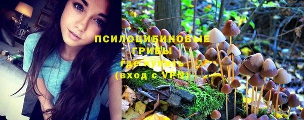 ешки Козельск