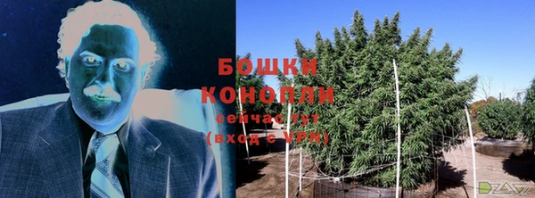spice Козловка