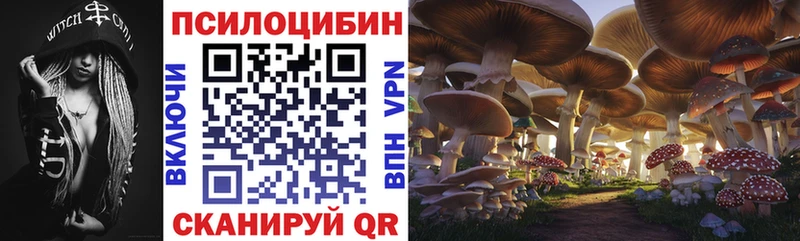 Галлюциногенные грибы мицелий Могоча