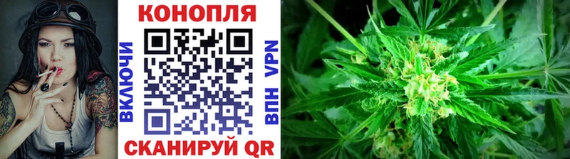 Бошки Шишки планчик  блэк спрут онион  Могоча 